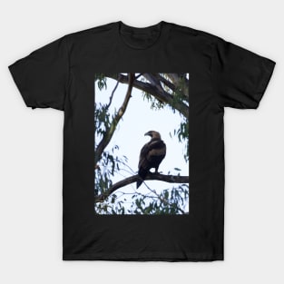 Wedge Tail Eagle T-Shirt